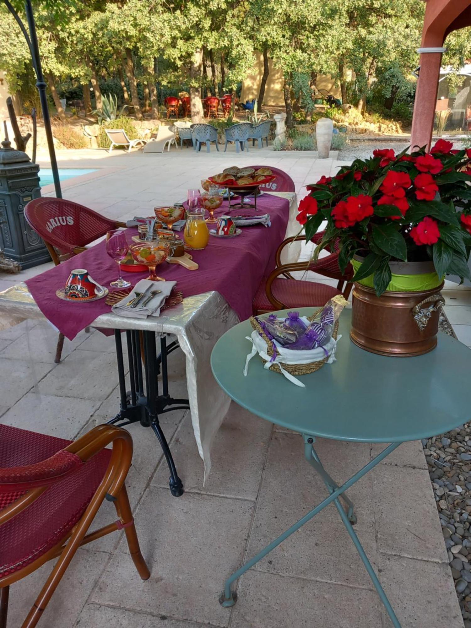 Les Lezards 2 Au Soleil Draguignan Bed & Breakfast Exterior photo